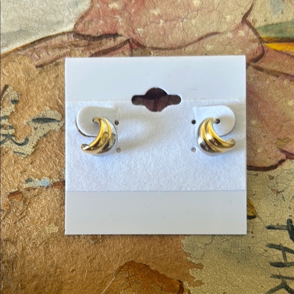 Gold and Silver Crescent Earrings